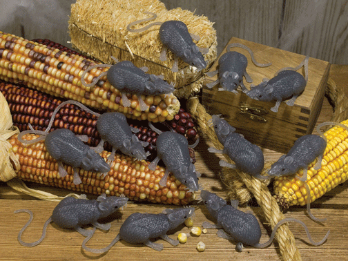 Bag of 12 Mice