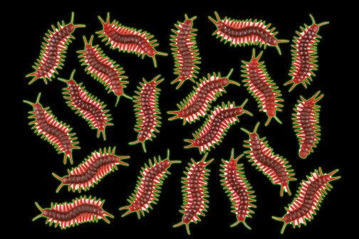 Bag of Centipedes