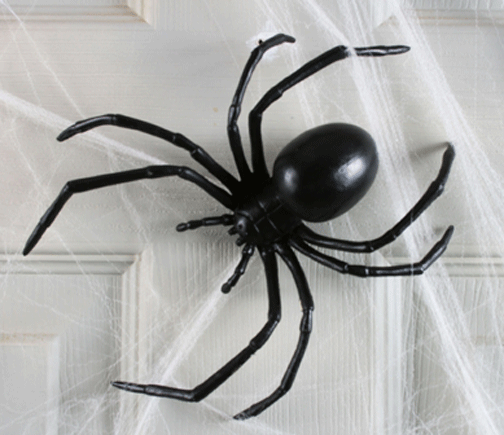 6 inch Black Widow Spider