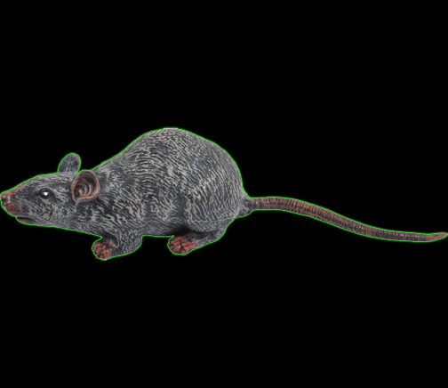 12 inch Sewer Rat