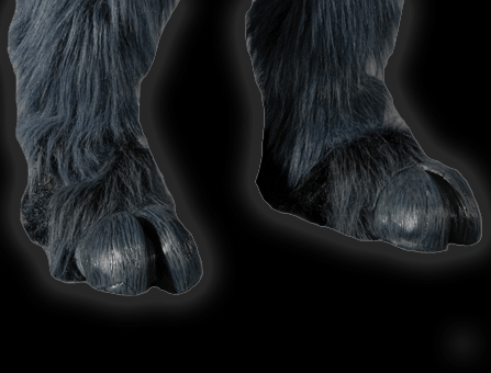 Black/Grey Hooves