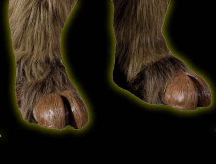 Brown Hooves