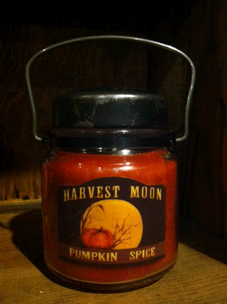 Harvest Moon Pumpkin Spice Scented Candle - 16oz. Jar