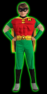 Robin Kids Costume