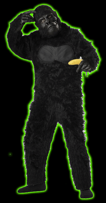 GORILLA CHILDS COSTUME