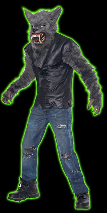 FULL MOON FURY CHILDS WEREWOLF COSTUME