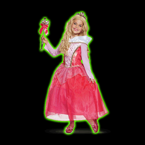 Disney Princess Sleeping Beauty Aurora 2020 Childs Costume
