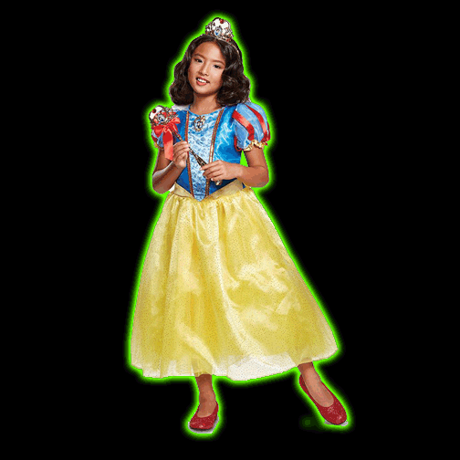 Disney Snow White Deluxe Childs Costume