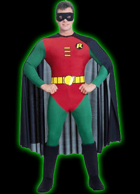 Robin Mens Costume
