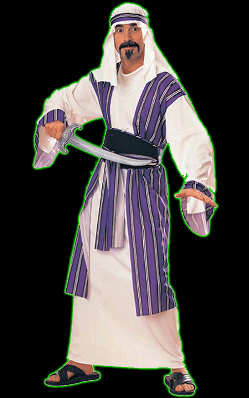 Desert Prince Sheik Costume