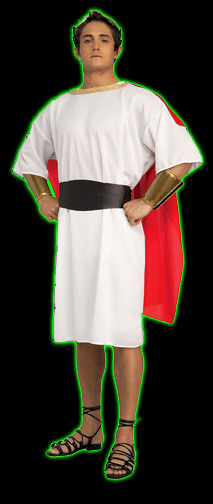 Centurion Mens Costume