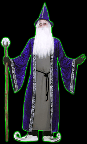 Wizard Mens Costume