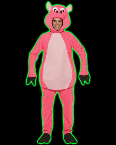 Adult Pig Costume