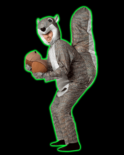 Adult Squirrel Costume