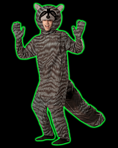 Adult Racoon Costume