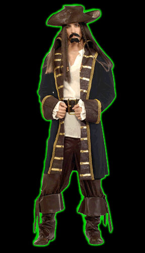 High Seas Pirate Deluxe Costume