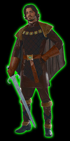 Mens Forest Prince Costume