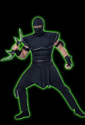 Stealth Ninja Mens Costume