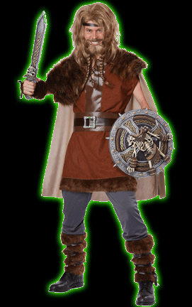 Mighty Viking Mens Costume