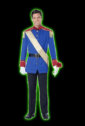 Storybook Prince Mens Costume