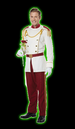 Royal Storybook Prince Mens Costume