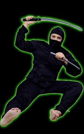 Ninja Mens Costume