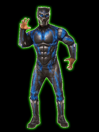 Blue Black Panther Mens Costume
