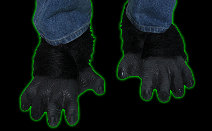 Gorilla Feet