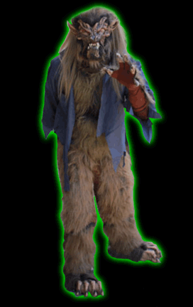 Deluxe Wolf Costume