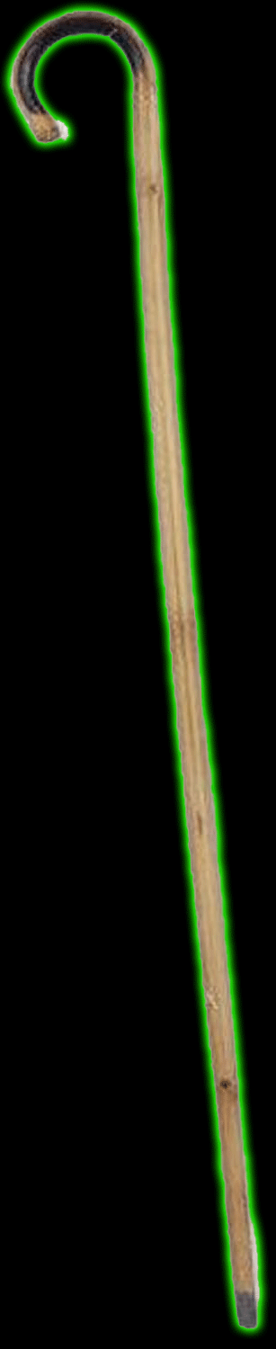 Bamboo Cane