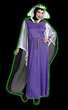 Disney Evil Queen Womens Costume