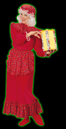 Mrs. Claus Women's Costume