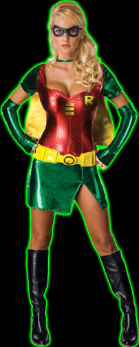 Womens Robin Costume