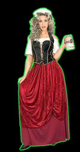 Tavern Wench Womens Costume