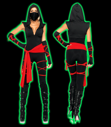 Deadly Ninja Womens Costume