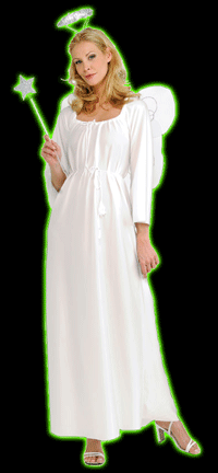 Angel w/ Silver Halo Womens Costume