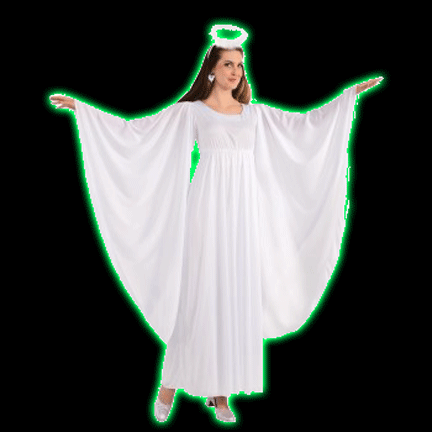 Angel Womens Costume
