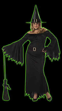Elegant Witch Womens<BR>Plus Size Costume