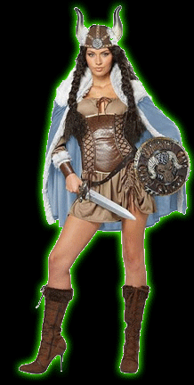 Viking Vixen Women's Costume