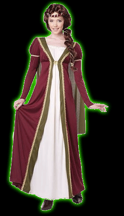 Medieval Maiden Women's Costume