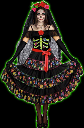 Lady of the Dead Womens Costume