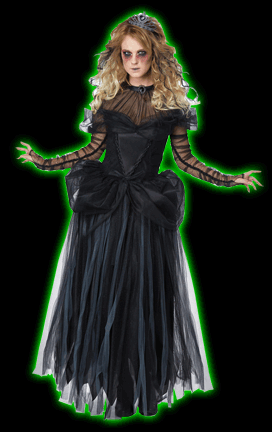 Dark Princess Womens Costume