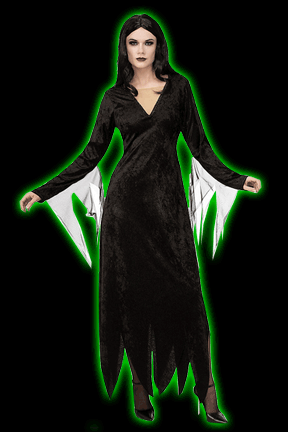 The Addams Family Morticia Costume