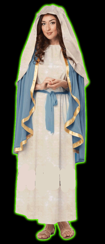 THE VIRGIN MARY ADULT COSTUME
