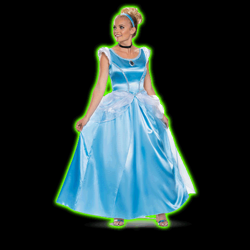 Disney Cinderella Deluxe Adult Costume DIS
