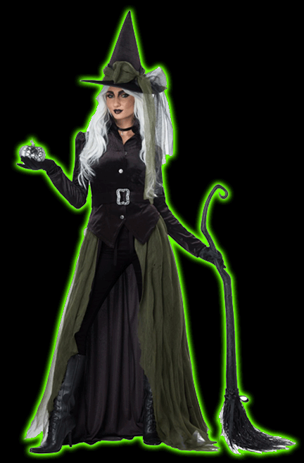 GOTHIC WITCH ADULT COSTUME cc
