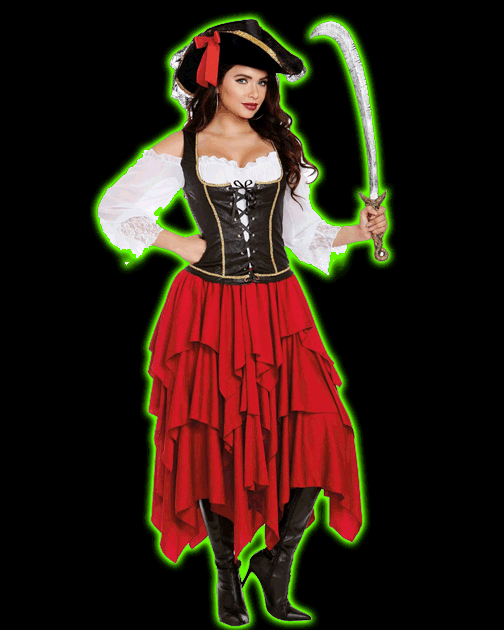 Ships Ahoy Pirate Lady Womens Costume