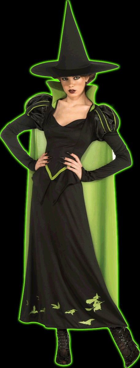 Adult Wicked Witch of the West Costume