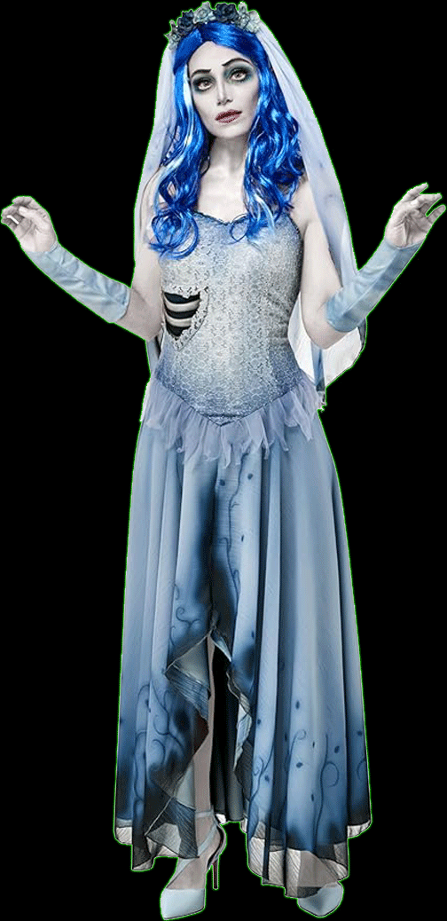 Corpse Bride Emily Costume Dress and Veil