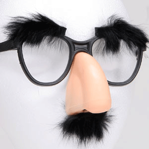 Groucho Glasses